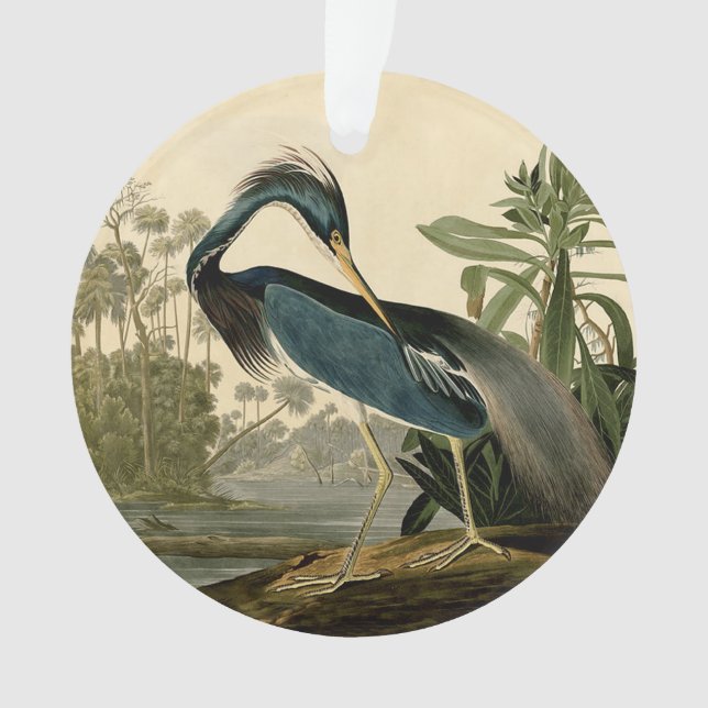 Ornamento Audubon Louisiana Heron Birds América Art (Frente)