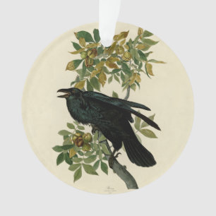 Ornamento Audubon Raven Bird Classic Trabalho de arte