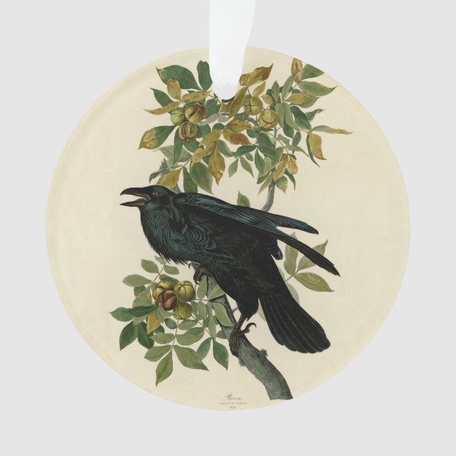 Ornamento Audubon Raven Bird Classic Trabalho de arte (Frente)