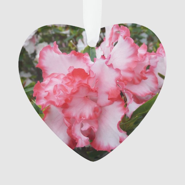 Ornamento Azaleas Primavera Floral, Vermelhas Duplas e Branc (Frente)