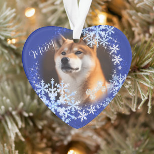 Ornamento Azul de Natal Pet Dog