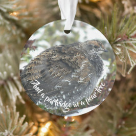 Ornamento Azul no Feriado de Neve