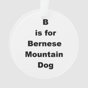 Ornamento b é para bernese mt dog.png