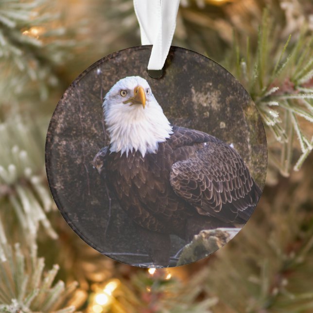 Ornamento Bald Eagle (Árvore)