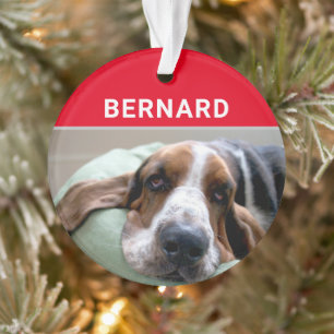 Ornamento Basset Hound com nome de cachorro e foto de Natal