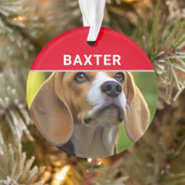 Ornamento Beagle com nome de cão e foto de Natal