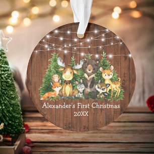 Ornamento Bebê Primeiro Natal Animais Florestais Luzes Russ
