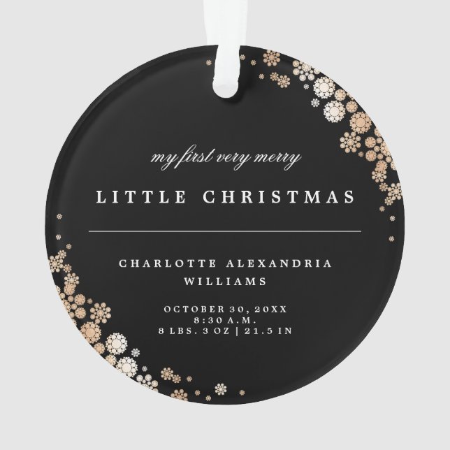 Ornamento Bebê Primeiro Natal Inverno Flocos de Neve Foto Na (Verso)
