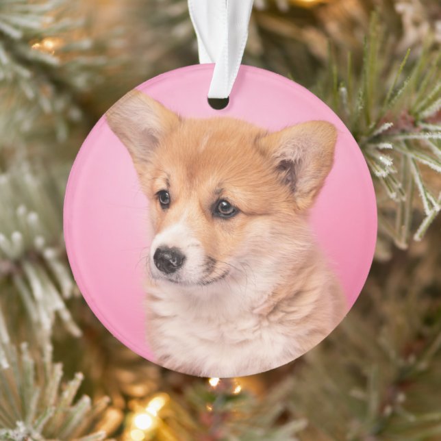 Ornamento Bebês Mais Pobres | Corgi Puppy a rosa (Árvore)