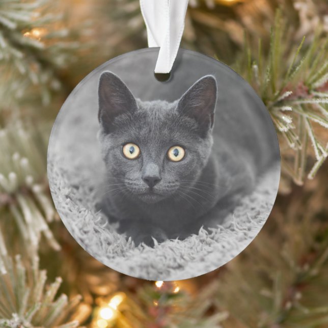 Ornamento Bebês Mais Pobres | Gato Cinza (Árvore)