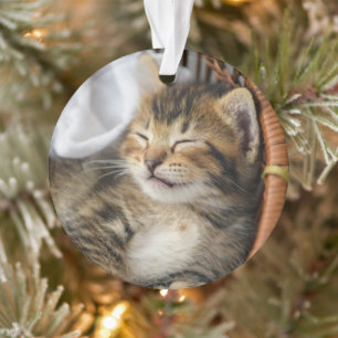 Ornamento Bebês Mais Pobres   Gato-Gato-Gato