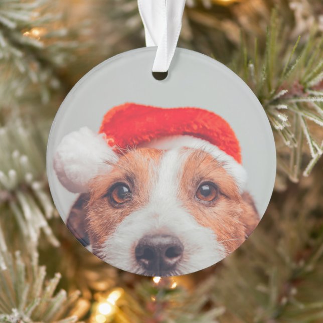 Ornamento Bebês Mais Pobres | Jack Russell Dog Santa Claus (Árvore)