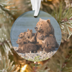 Ornamento Bebês Mais Pobres Urso-Mãe e Cubos
