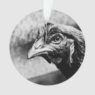 Ornamento bebidas espirituosas e galinhas