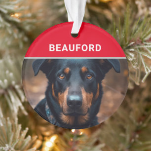 Ornamento Bela com o nome do cão e o Natal da fotografia