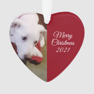 Ornamento Belo Cachorro Branco Neve Puppy Ped Natal