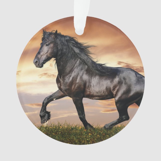 Ornamento Belo Cavalo Negro (Frente)