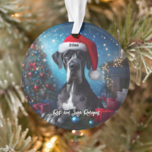 Ornamento Belo Dane com Santa Hat
