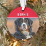 Ornamento Bernese Mountain Dog's name e Photo Christmas<br><div class="desc">O Natal não está completo sem um ornamento na árvore para o cachorro da família! Adicione sua foto e seu nome a esta lindíssima raça de cão Bernese Mountain específica ornamento de dois lados.</div>