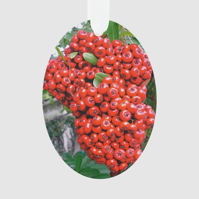 Ornamento Berries Red Pyracantha (Frente)