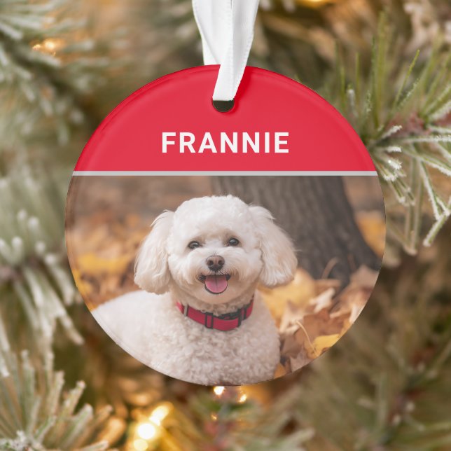 Ornamento Bichon Frise Dog's Name e Photo Christmas (Árvore)