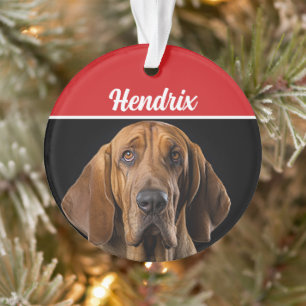 Ornamento Bloodhound com nome e foto Natal