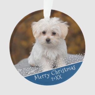 Ornamento Blue Dog Pet Photo Natal Keepsasasasakorna
