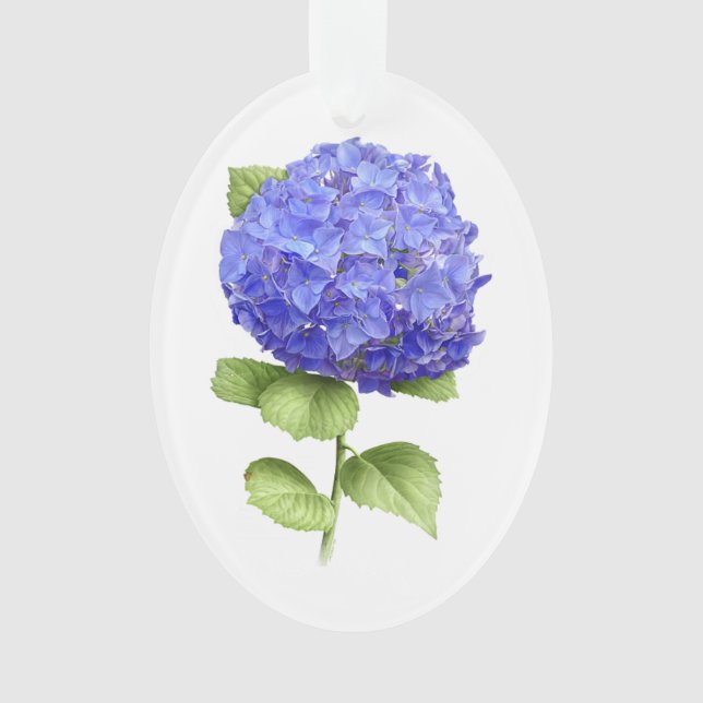 Ornamento Blue Hydrangea (Frente)