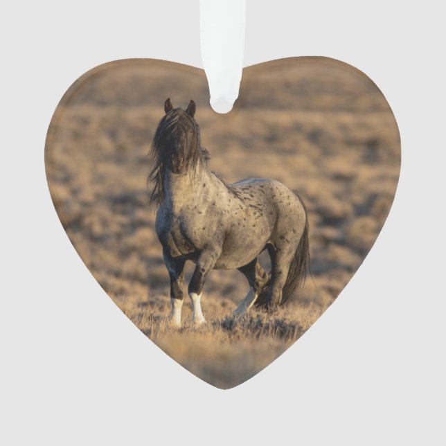 Ornamento Blue Zeus no Dawn Wild Hoofbeats Ornament (Frente)