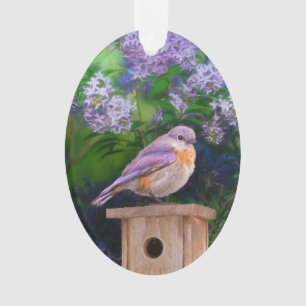 Ornamento Bluebird oriental na neve - Foto original