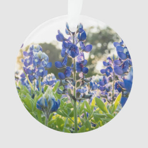 Ornamento Bluebonnets Blue Flowers Texas Texan Lupine