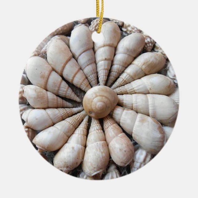 Ornamento bonito da circular do Seashell (Frente)