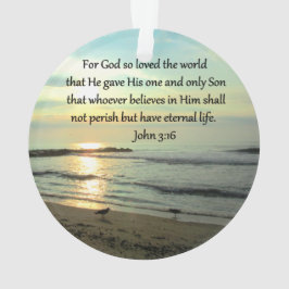 ORNAMENTO BONITO SOL JOHN 3:16 DESIGN