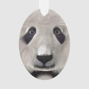 Ornamento Bonito Urso de Panda Kawaii Amante de os animais p
