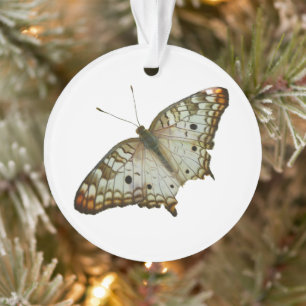 Ornamento Borboleta exótica de Ruas. Lúcia