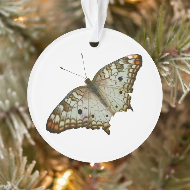 Ornamento Borboleta exótica de Ruas. Lúcia (Árvore)