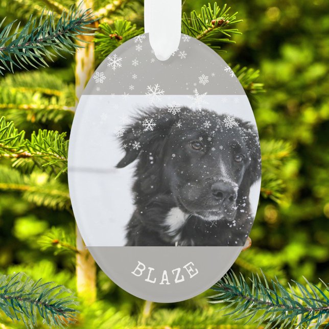 Ornamento Borda Collie Christmas Personalized Pet Photo (Criador carregado)