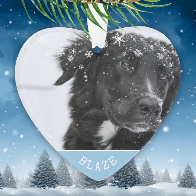Ornamento Borda Collie Christmas Personalized Pet Photo (Criador carregado)