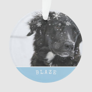 Ornamento Borda Collie Christmas Personalized Pet Photo