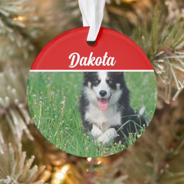 Ornamento Borda Collie com Nome e Foto de Natal (Árvore)