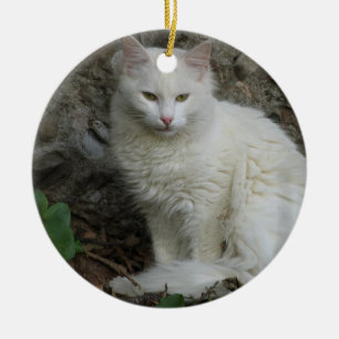 Ornamento branco do gato