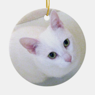 Ornamento branco do gato