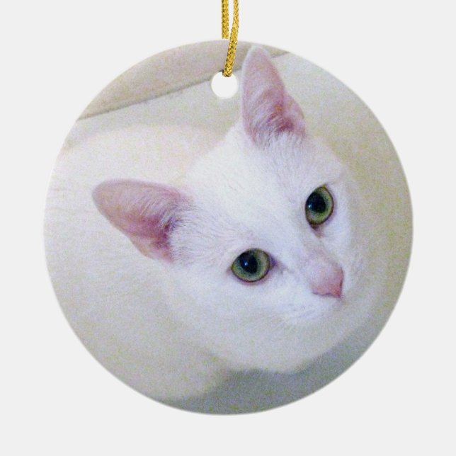 Ornamento branco do gato (Frente)
