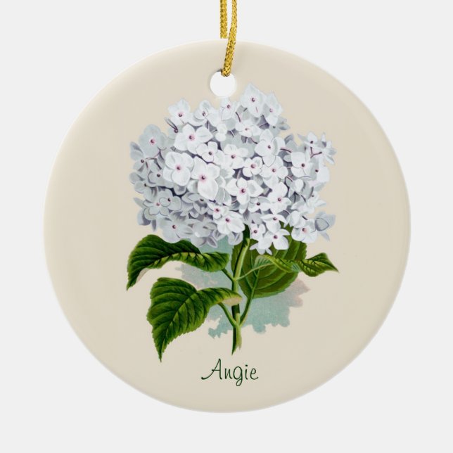 Ornamento branco do Hydrangea (Frente)