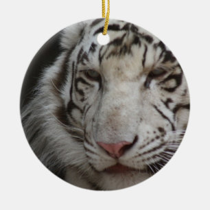 Ornamento branco do tigre