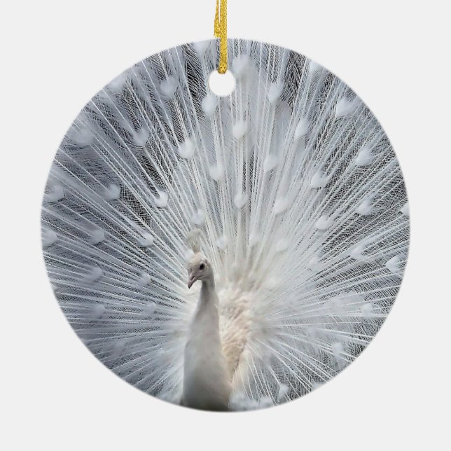 Ornamento brancos do pavão do White Christmas (Traseira)