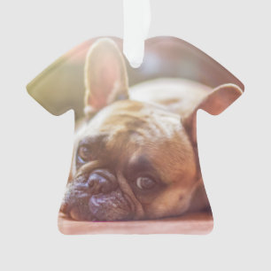 Ornamento buldogue francês