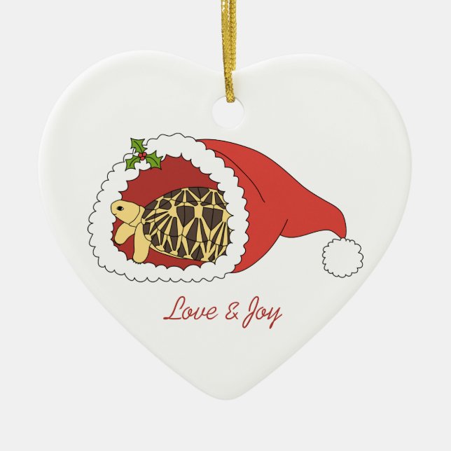 Ornamento Burmese da tartaruga da estrela (chapéu (Frente)