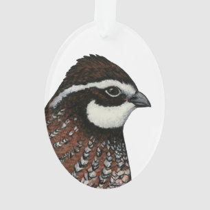 Ornamento Cabeça de Codorna Bobwhite