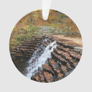 Ornamento Cachoeira no Laurel Hill State Park II